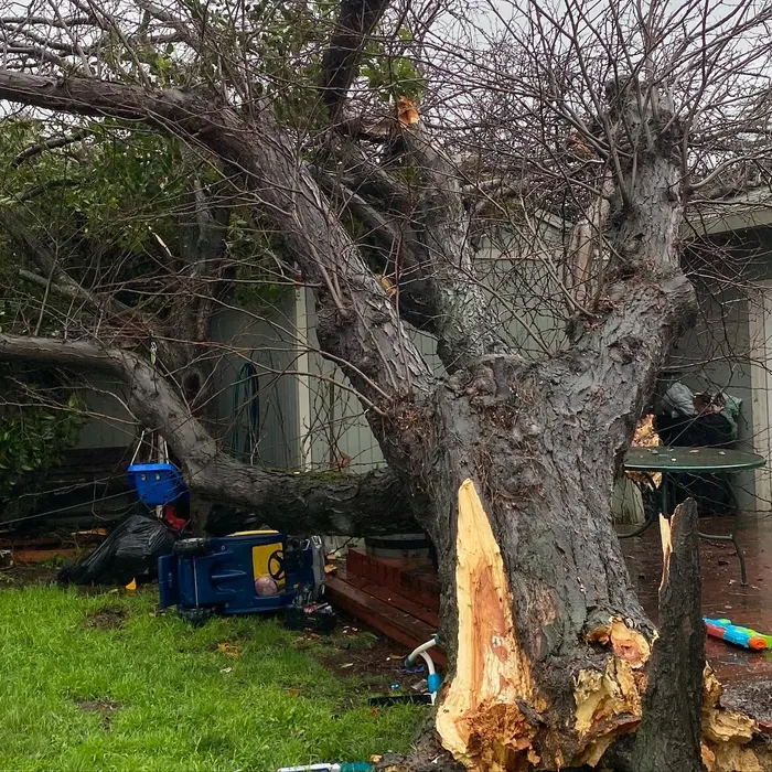 Crew removing a large tree limb