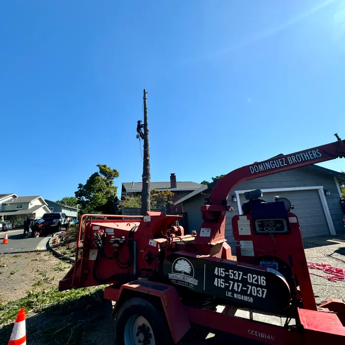 Crane lifting tree sections safely