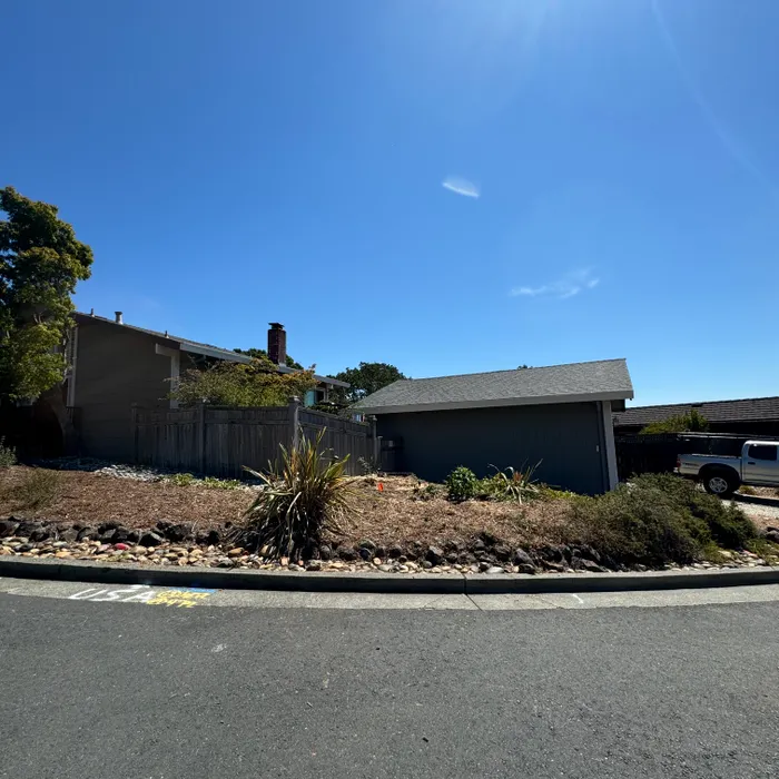 Tree canopy after maintenance