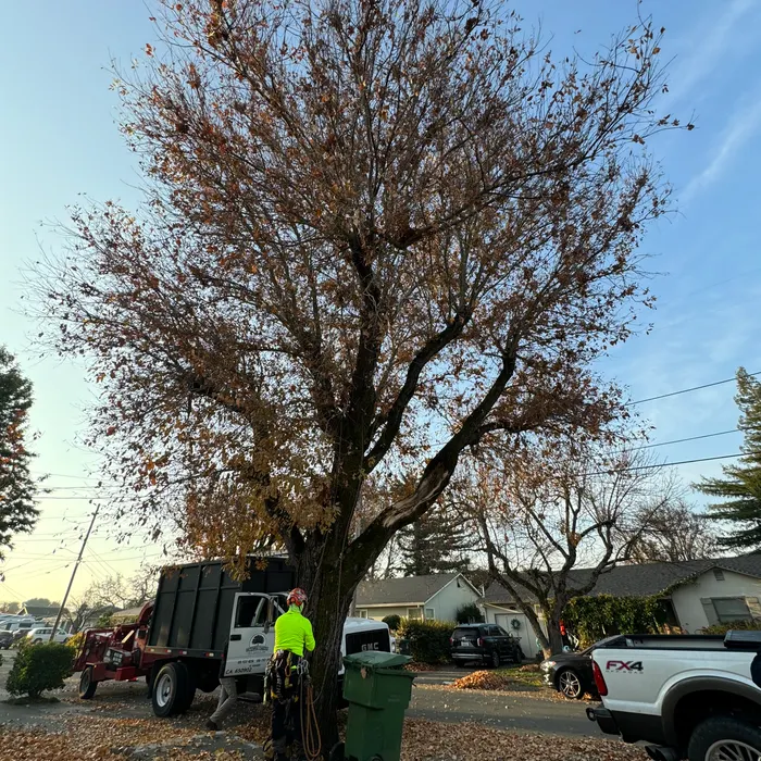 Ground crew coordinating with climber
