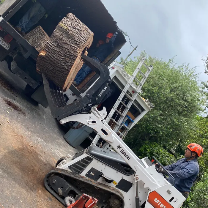 Workers loading wood chips into truck
