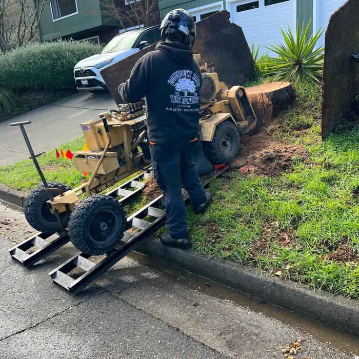 Stump grinding in progress
