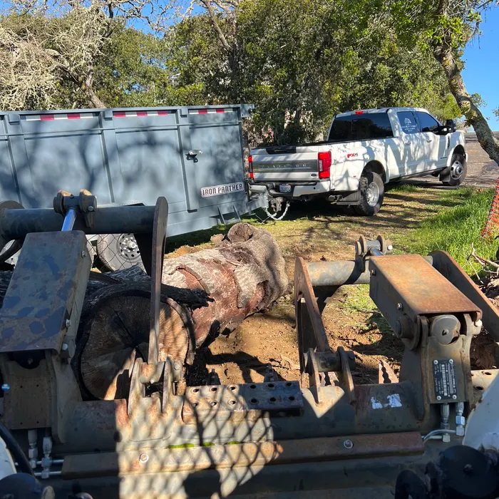 Climber removing limbs over roofline